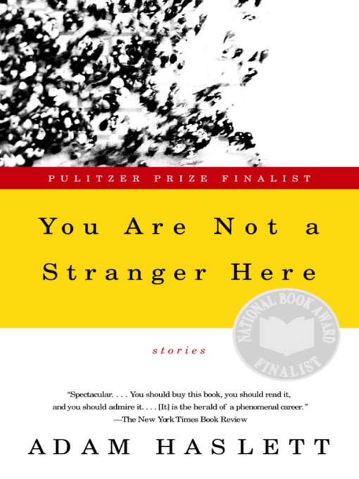 Title details for You Are Not a Stranger Here by Adam Haslett - Wait list